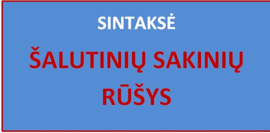 ŠALUTINIŲ SAKINIŲ RŪŠYS