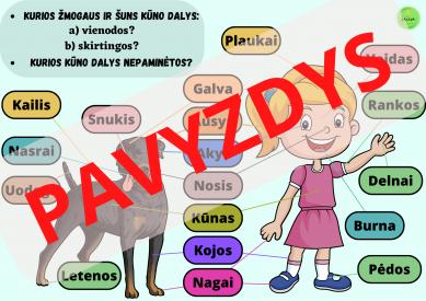 3 mokomieji plakatai pasaulio pažinimo pamokoms