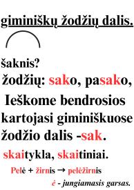 Žodžio dalys