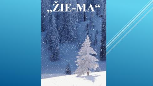 Žiema. 