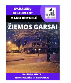 Žiemos garsai