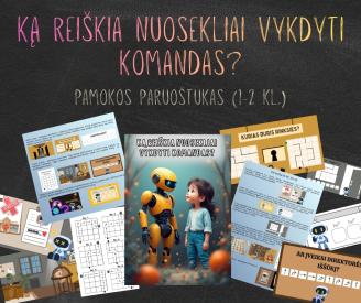 Pamokos planas Ką reiškia nuosekliai vykdyti komandas