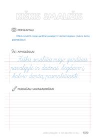 Dailyraščio praktika 1-4 kl. 5 kiškio pasakos. PDF 