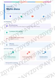 Molio diena 7-8 kl.: 20 užduočių, SUP, stalo žaidimas ir QR