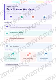 Pasaulinė medūzų diena 9-10 kl.: 20 užduočių, SUP, stalo žaidimas ir QR