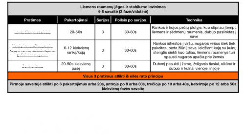 Liemens raumenų jėgos ir stabilumo lavinimo pratimų blokas - vidutinis ir sunkus