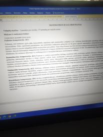 Ilgalaikis planas 3 kl. pagal atnaujintas programas. 