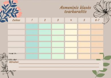 Klasės ir individualūs tvarkaraščiai