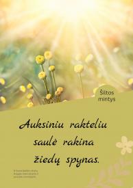 Šiltos mintys