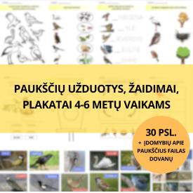 VEIKLŲ IR UŽDUOČIŲ RINKINYS PAUKŠČIAI 4-6M VAIKAMS