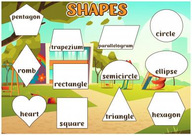 Shapes