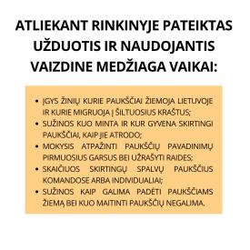 VEIKLŲ IR UŽDUOČIŲ RINKINYS PAUKŠČIAI 4-6M VAIKAMS