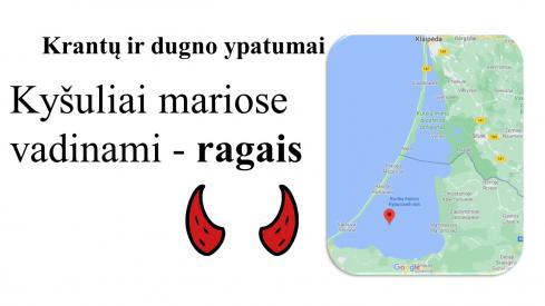Kuršių marios šiuolaikiškos skaidrės 