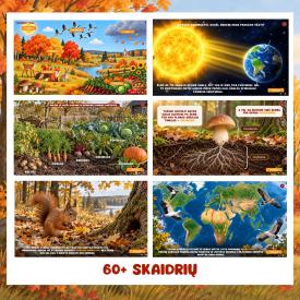 Interaktyvios skaidrės RUDENS PASAULIS