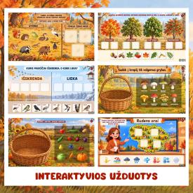 Interaktyvios skaidrės RUDENS PASAULIS