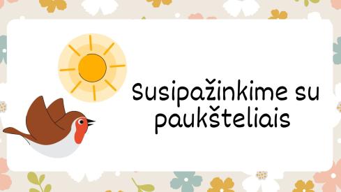 Susipažinkime su paukšteliais