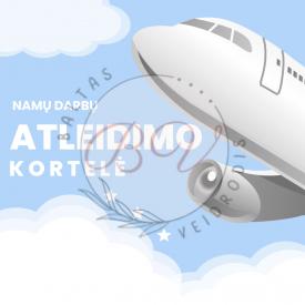Namų darbų atleidimo kortelė lėktuvų tema.