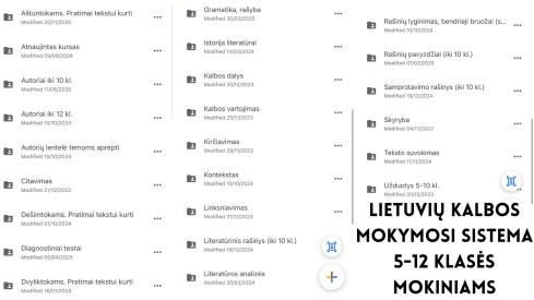 Lietuvių kalbos ir literatūros mokymosi sistema
