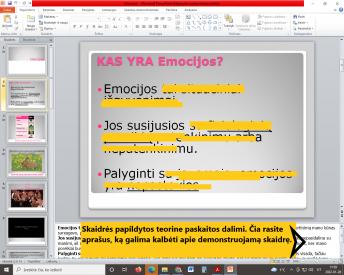 Skaidrės apie emocijas