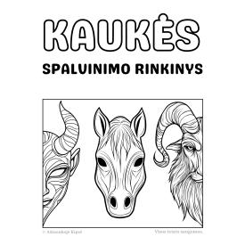 NET 42 KAUKĖS. Užgavėnės. Helovinas. Teatras.