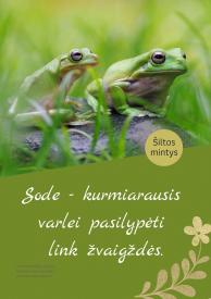 Šiltos mintys