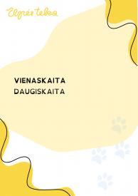 Upės teka Kortelės vienaskaitai daugiskaitai mokytis