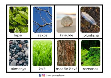 Mokomosios kortelės GAMTOS GĖRYBĖS