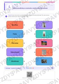 Smuiko ir boso raktai 5-6 kl.: 20 užduočių, SUP, stalo žaidimas ir QR