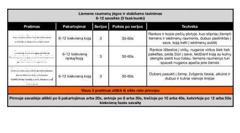 Liemens raumenų jėgos ir stabilumo lavinimo pratimų blokas - vidutinis ir sunkus
