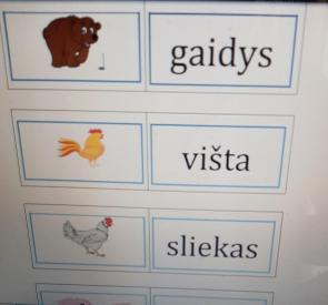 Žodžių domino - gyvūnai ir paukščiai.