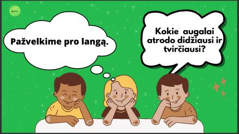 Medžiai. Medžio dalys