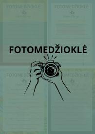 Fotomedziokle Vasario 16 pamineti