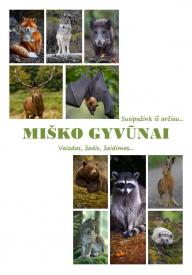 Pažinimo kortelės. MIŠKO GYVŪNAI. Vaizdas, žodis, žaidimas.