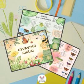 GYVAVIMO CIKLAI skaidrės