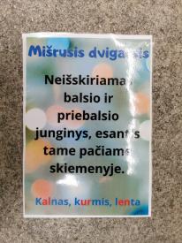 Plakatai dvibalsiai ir mišrieji dvigarsiai