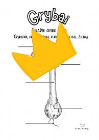 Grybai