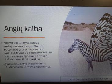 Gyvūnai: anglų kalbos, gamtos mokslų ir teatro integruotos pamokos 2 klasei