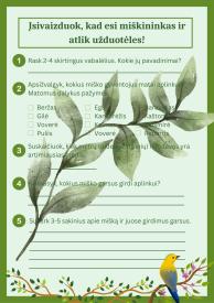 Miškininko dienos užduotys