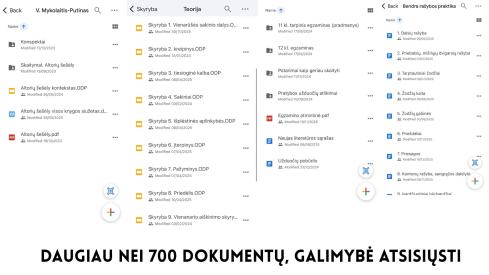 Lietuvių kalbos ir literatūros mokymosi sistema