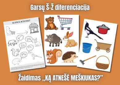 Garsų Š-Ž diferenciacija