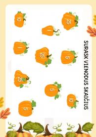 Rudens matematika 