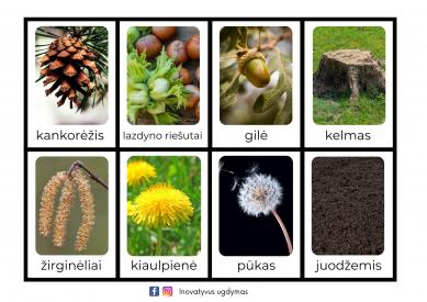 Mokomosios kortelės GAMTOS GĖRYBĖS
