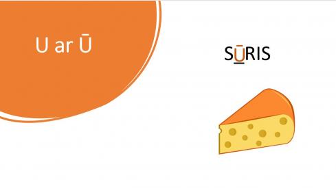 U-Ū diferencijavimas