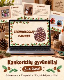 Ką galima sukurti iš kankorėžių.
