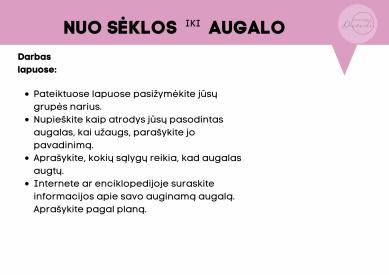Nuo sėklos iki augalo