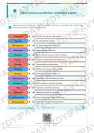 Tarptautinė tolerancijos diena 3-4 kl.: 20 užduočių, SUP, stalo žaidimas ir QR