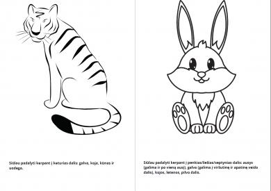 Scavenger Hunt about Animals and Body Parts
