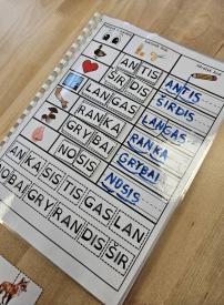 Dviskiemeniai ir triskiemeniai žodžiai