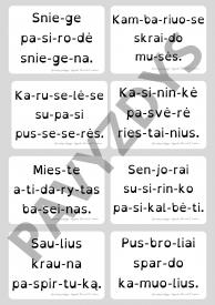 320 skiemenuotų skaitymo kortelių