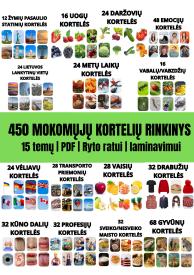 450 mokomųjų kortelių rinkinys